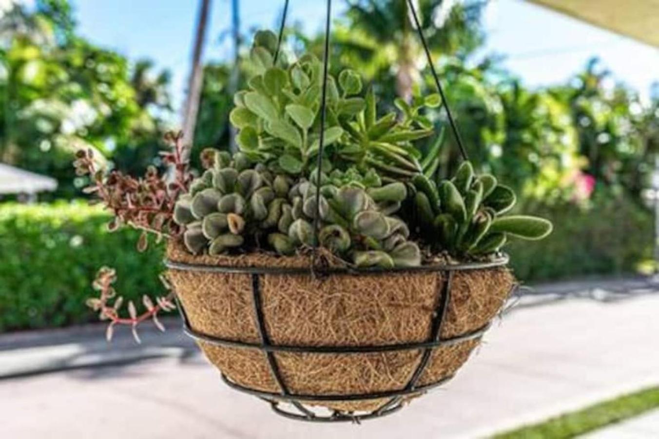Olive Apart Unit 1 By Pmi West Palm Beach Ngoại thất bức ảnh